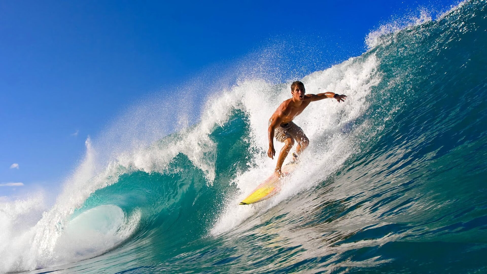 乐鱼体育app网址-外教数据报告缺乏比赛结果责任分担机制  第5张