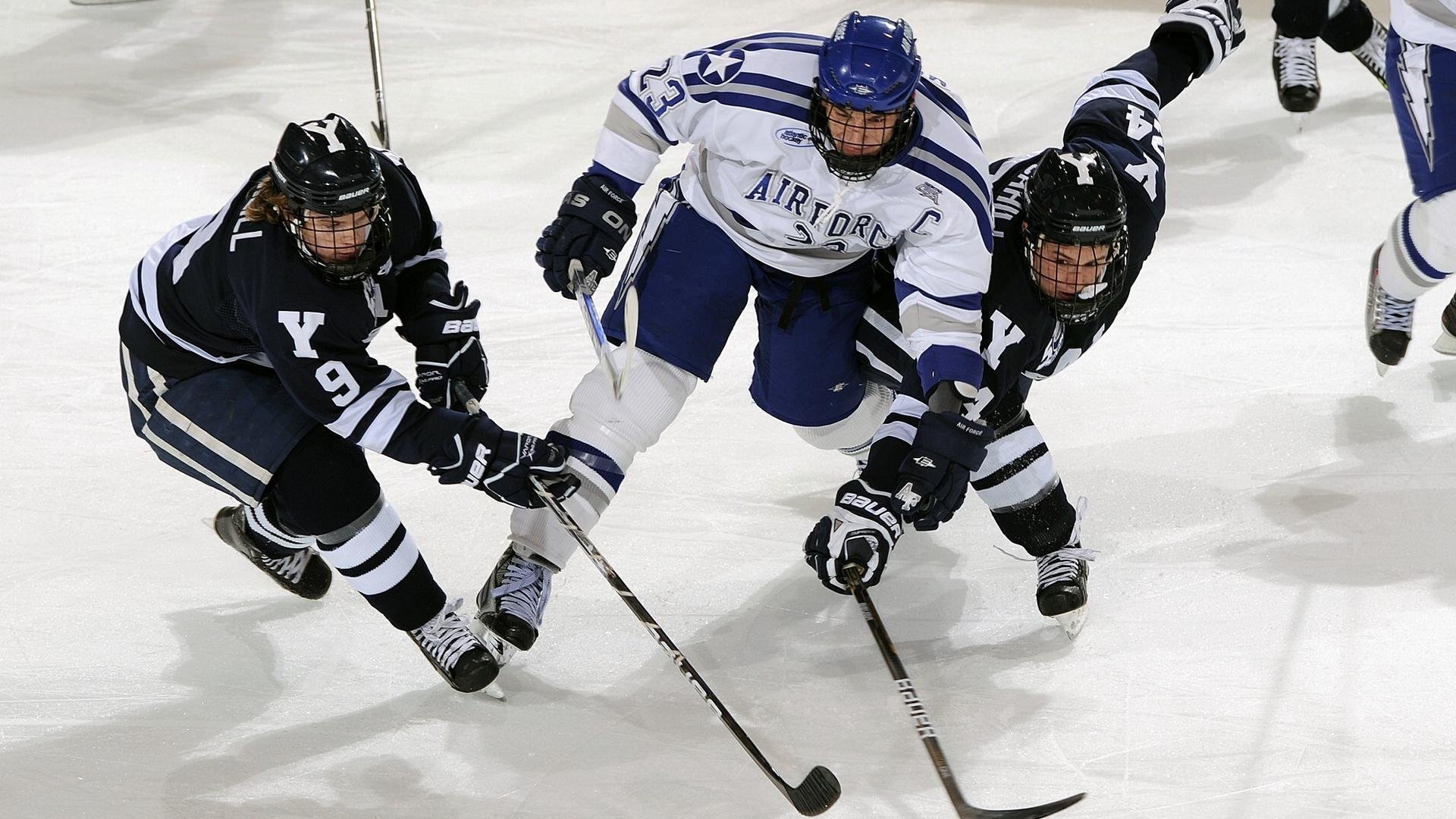 乐鱼体育在线-男子项目频传捷报  第1张