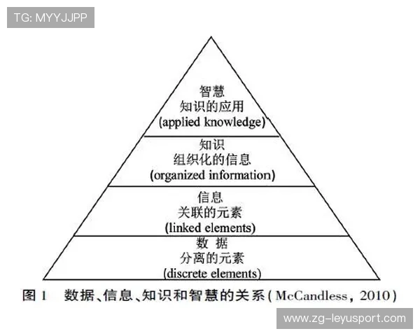 主场优势显著，数据揭示胜率提升关键因素，主场优势什么意思